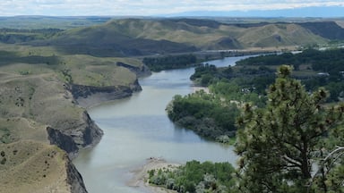 Un río serpentea por un valle con colinas y un pino en primer plano.