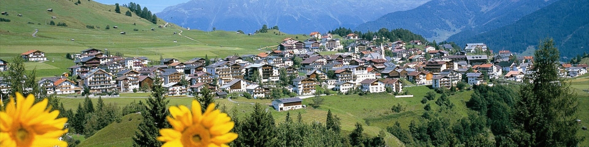 Serfaus que inclui uma cidade pequena ou vila e flores silvestres