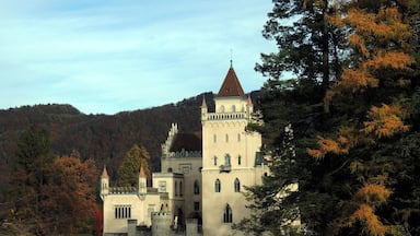 Anif Castle, located at the southern city limits of Salzburg, Austria, looks the quintessential romantic fairy tale. The castle gained notoriety in films like The Sound of Music, The Great Race, The Odessa Files and The Slipper and the Rose.
Erected in the early 16th century, the castle was rebuilt by Prince-Archbishop Johann Ernst von Thun about 1693 and served as the summer residence of the Bishops of Chiemsee. Redesigned in the mid-19th century in the current neo-Gothic style, Anif Castle was the refuge of the deposed king Ludwig III of Bavaria during the German revolution of 1918-19.
Today the castle is privately owned by the family von Moy.