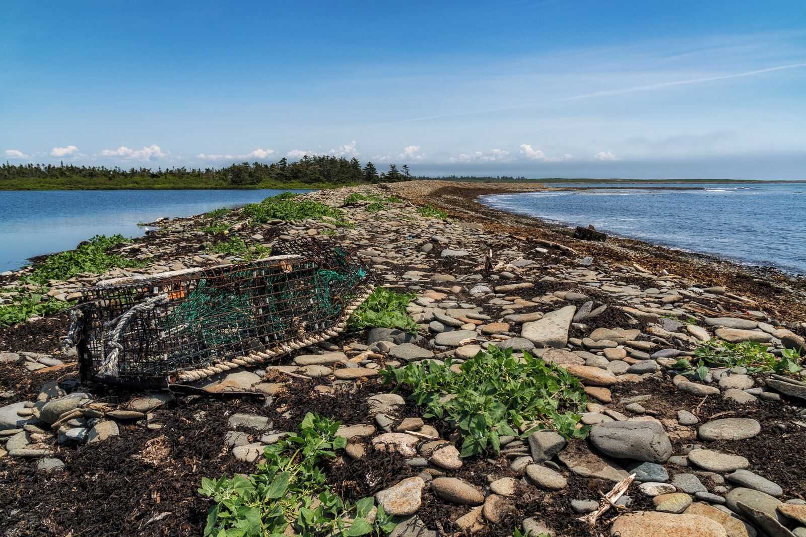 Pond Cove, Brier Island. Most people visit Bier Island for the excellant whale watching, but the draw for me was the chance to hike 20km around the coast of the entire island. A full day of coastal scenery, with the ocean never out of sight? Yes please!