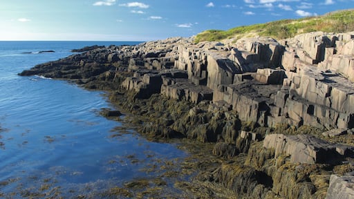 After leaving Digby, NS, driving 40 minutes, surviving the sharp turns, and taking two ferries you will discover Brier Island. This island is small, but packed with great hiking and rock jumping. Not many tourists or Nova Soctians make their way out to the island, and that's a shame because it is worth the trip.