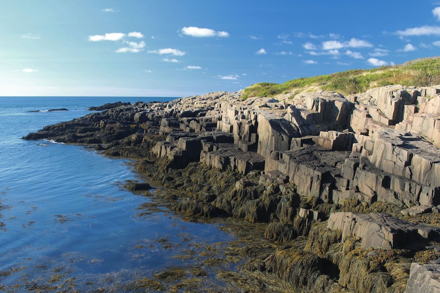 After leaving Digby, NS, driving 40 minutes, surviving the sharp turns, and taking two ferries you will discover Brier Island. This island is small, but packed with great hiking and rock jumping. Not many tourists or Nova Soctians make their way out to the island, and that's a shame because it is worth the trip.