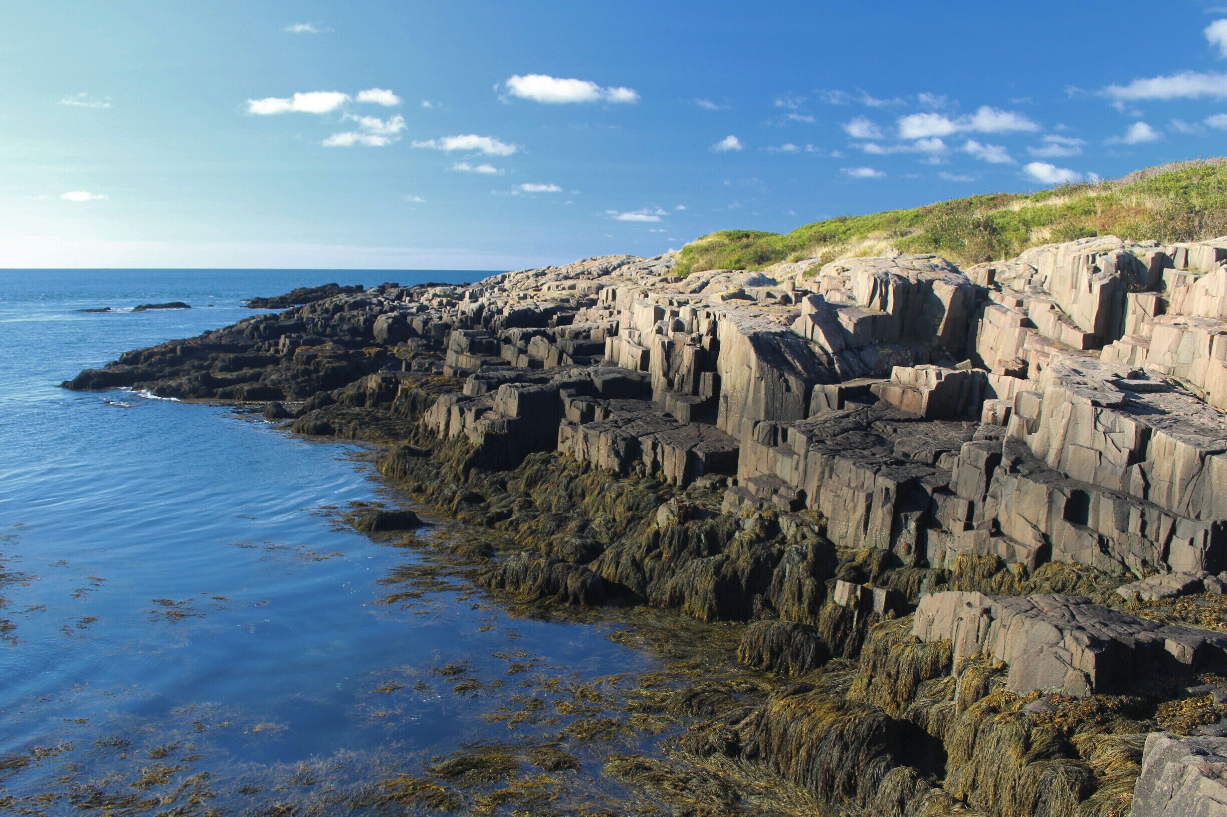 A rocky coastline with clear blue water and sparse vegetation.