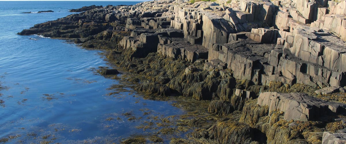 A rocky coastline with clear blue water and sparse vegetation.