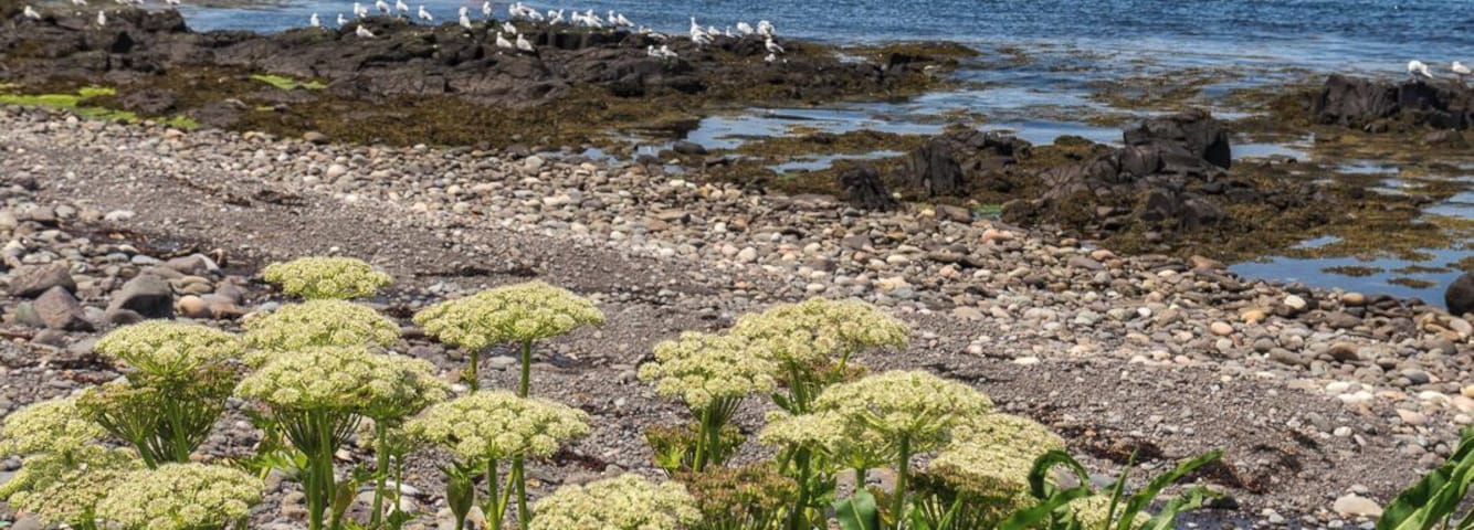 Western Light, Brier Island, Nova Scotia.