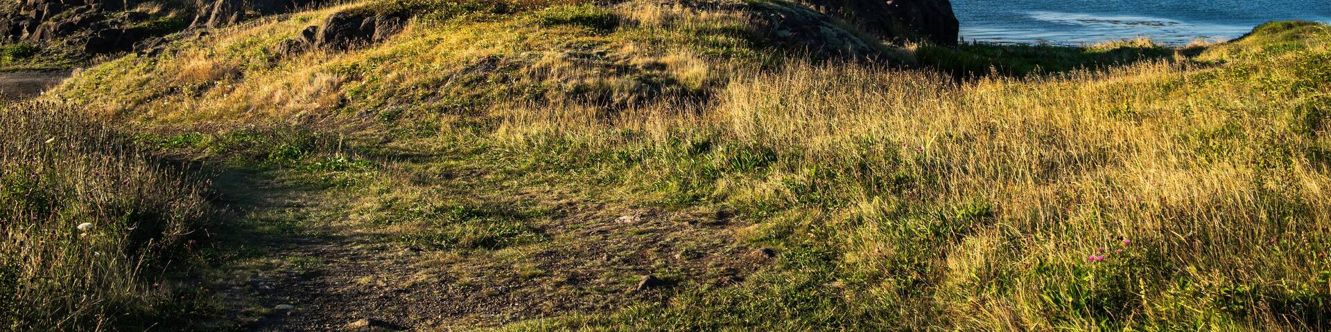 A red and white lighthouse on a grassy cliff overlooking the ocean.