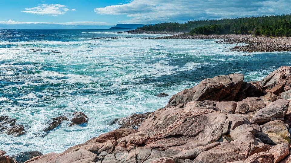 A rocky coastline with turbulent ocean waves, a forested area, and a distant mountain range.