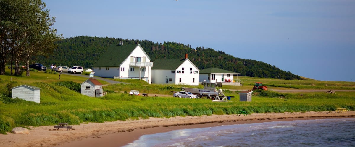A coastal village with white houses, a beach, and a forested hill in the background.