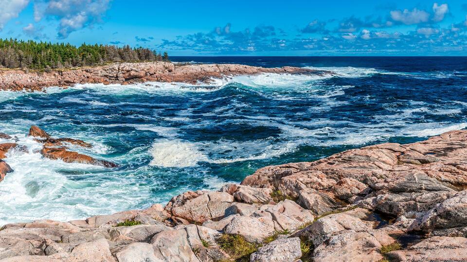 A rocky coastline with turbulent ocean waves, a forested area, and a clear blue sky.