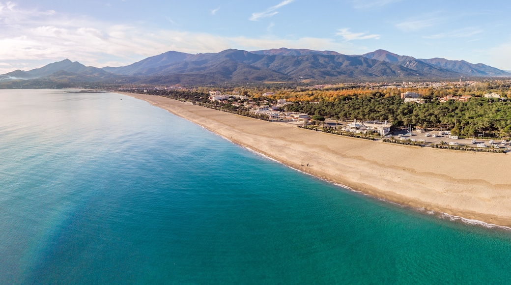 Panorama de la plage des pins à Argelès (66700) France
