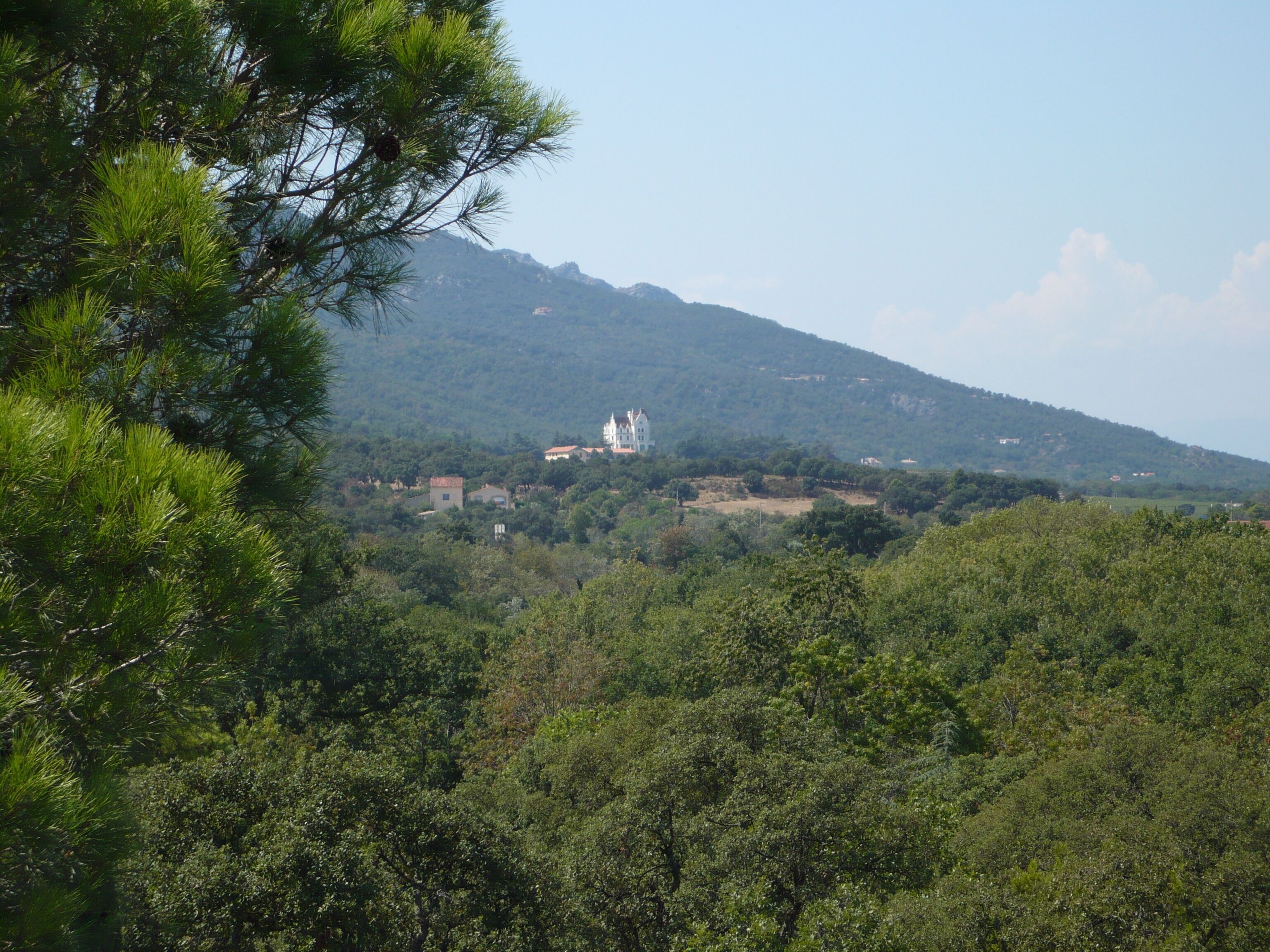 Uitzicht vanaf het zwembad le bois de valmarie