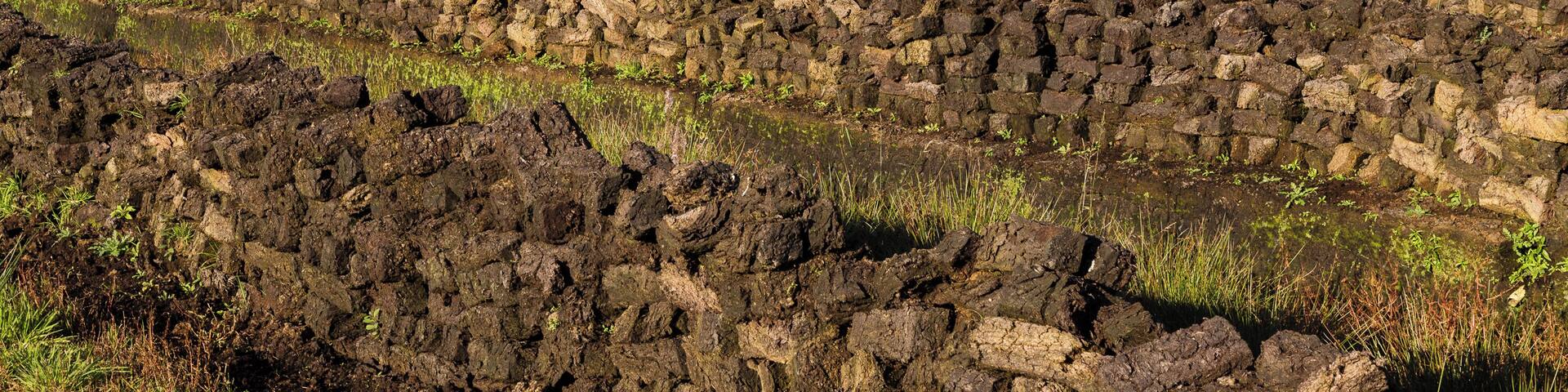 Torfstich bei Petersfehn (Ldkrs. Ammerland)