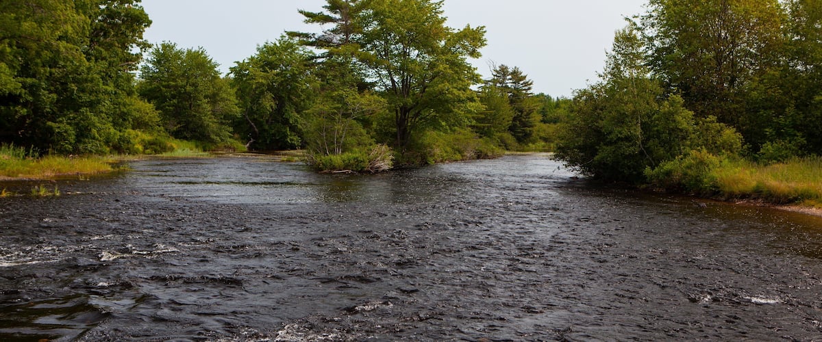Enfield showing a river or creek