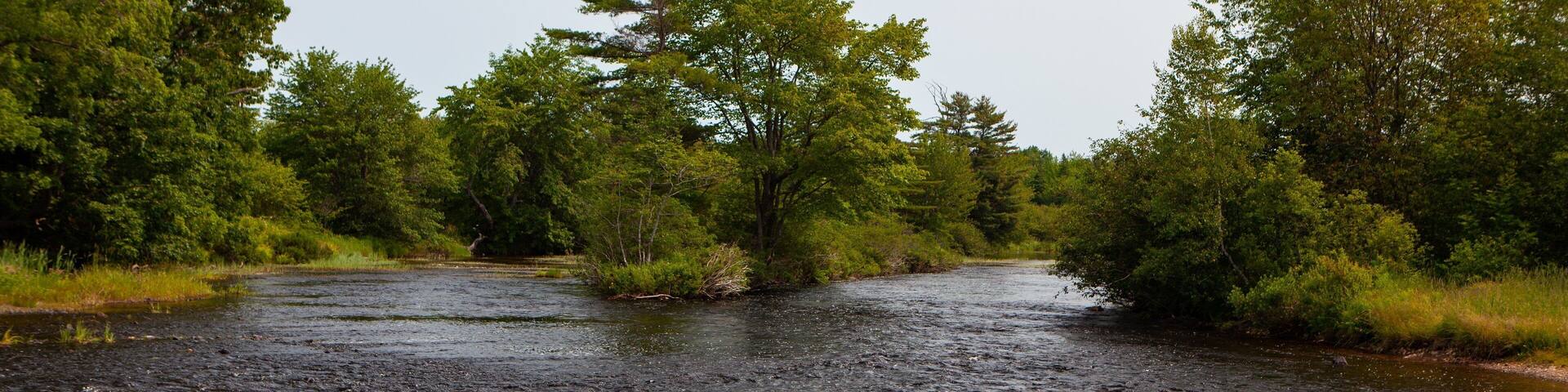 Enfield showing a river or creek