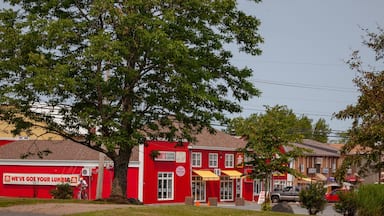 Enfield featuring a small town or village