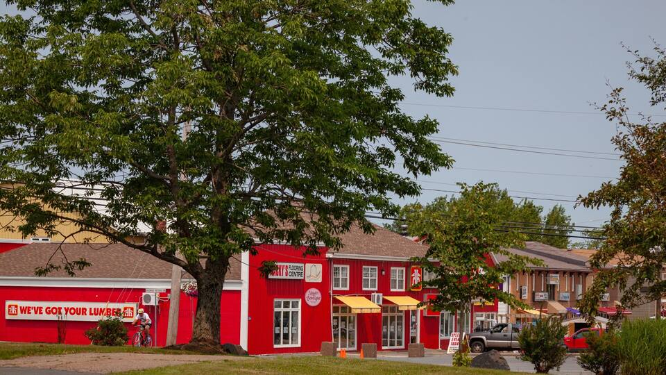 A red building with a sign for 'George Peters' and a tree in front.