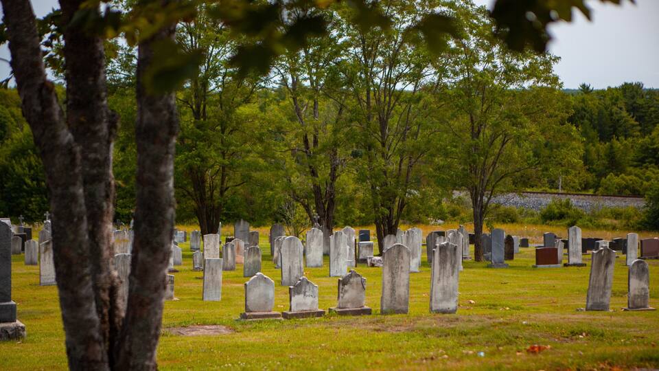 A cemetery with numerous headstones and trees.