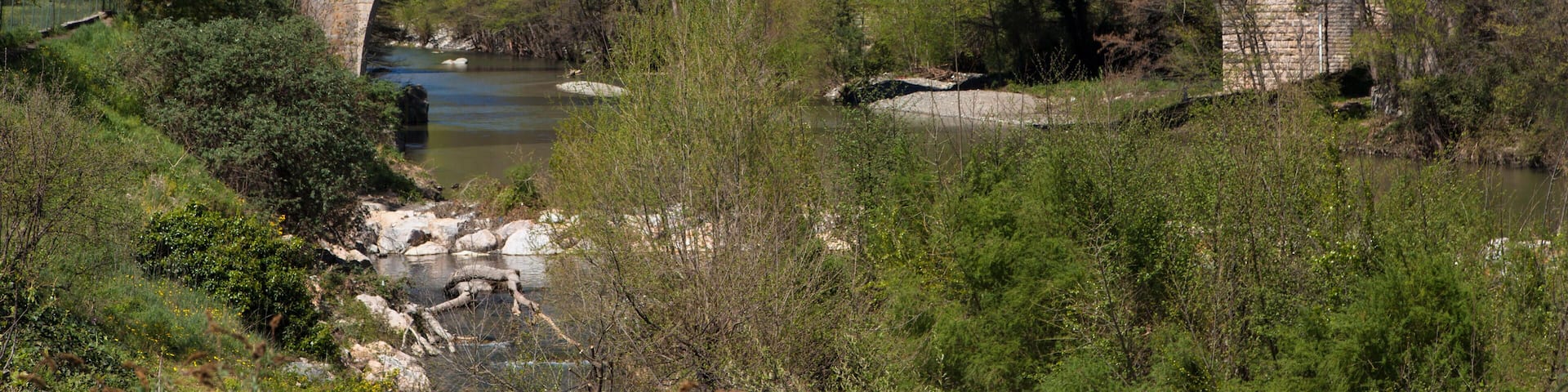 EKKRXY Medieval stone arch bridge Pont du Diable in Ceret, Languedoc-Roussillon, France.