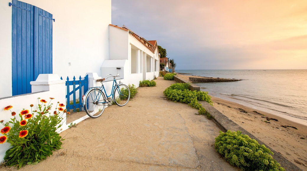 Vieux vélo bleu sur les plages de l'île Noirmoutier en Vendée. France.