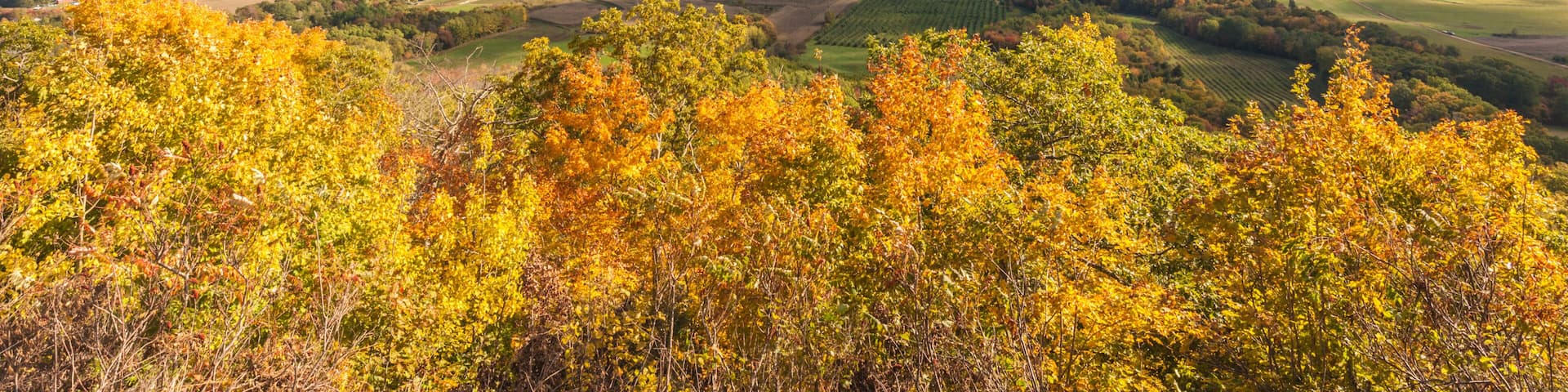 Canada, Nova Scotia, Canning. The Lookoff, elevated view of the Annapolis Valley in autumn.