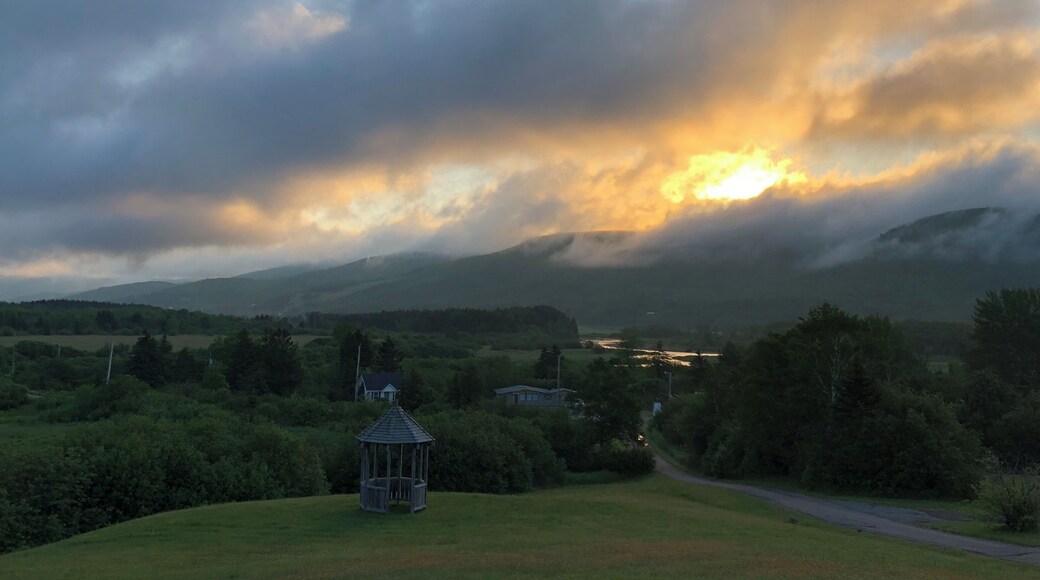 Margaree river waking up