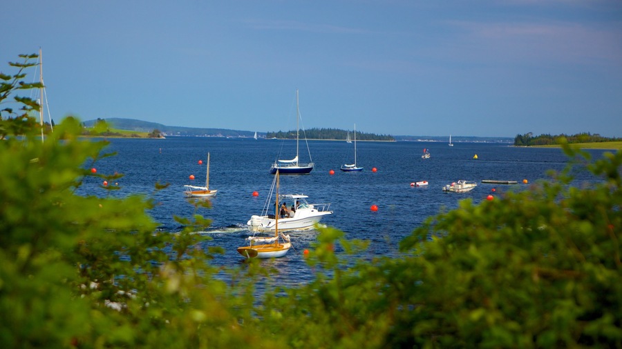 Chester featuring a coastal town, boating and a bay or harbour
