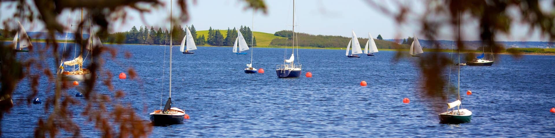 Chester featuring a bay or harbor
