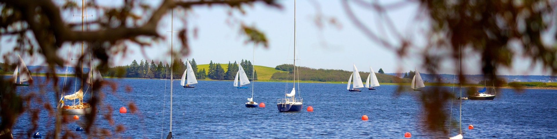Chester ofreciendo una bahía o un puerto