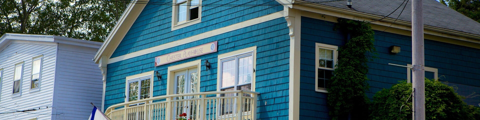 Chester que incluye una casa