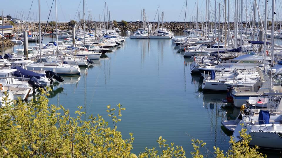A marina with numerous boats docked in calm waters, surrounded by greenery.