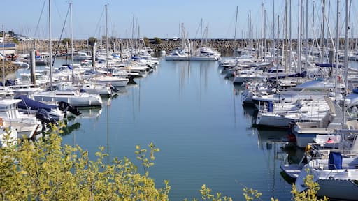 Port of Pornichet and foliage tree in the foreground in Pays de la Loire region in western France; Shutterstock ID 88421275; purchase_order: SP-1332 HA Batch 2 August 2018; Order: ; client: HomeAway;