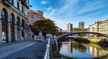 Bilbao la Vieja lies just across the river from the Old Town. The streets in this space, which takes in the Bilbao la Vieja, San Francisco and Zabala districts, are covered with urban wall art and a very interesting collection of architecture. The barrio of San Francisco lies just south of Abando and is an immigrant area, a very lively neighborhood.
#Architecture
#Bilbao
#Spain