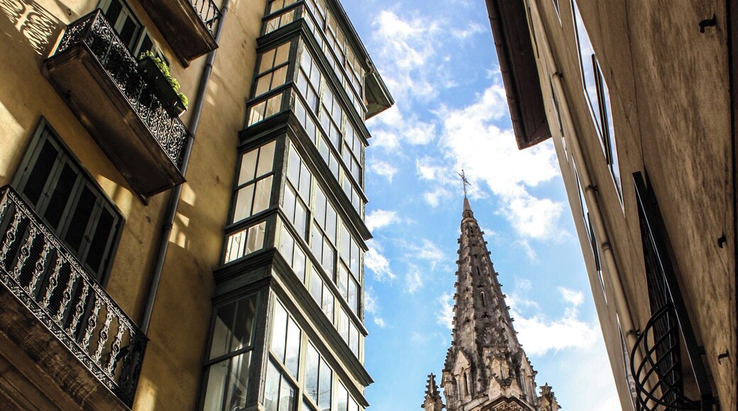 Bilbao's medieval quarter, Casco Viejo, with its narrow streets, old romantic buildings, beautiful churches and the Catedral de Santiago de Bilbao among many other interesting places.