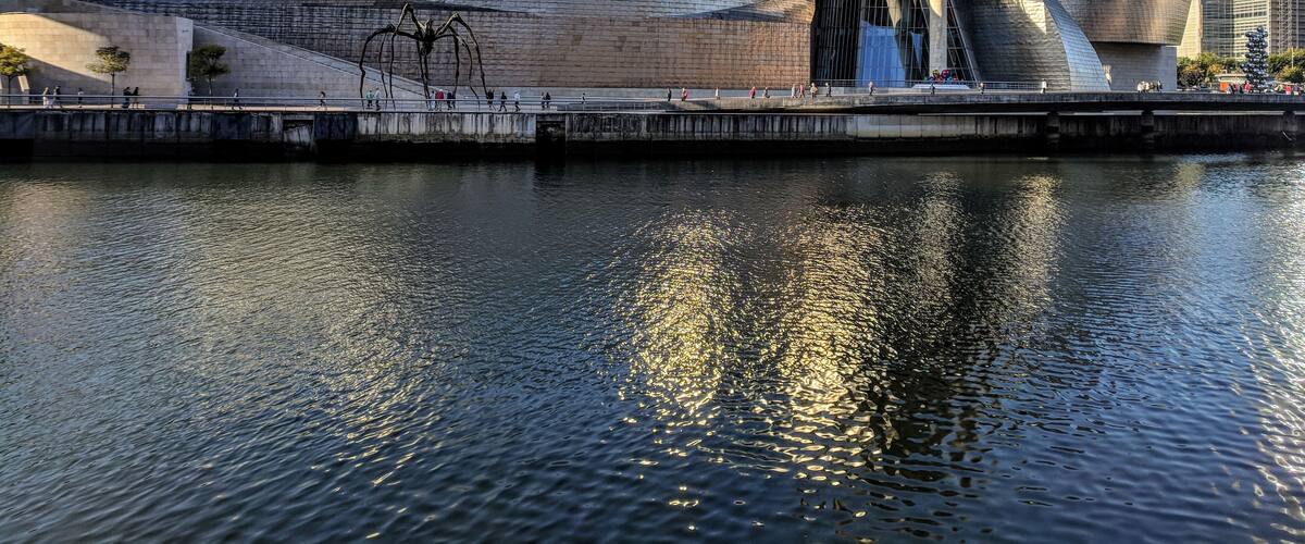 Frank Gehry's Guggenheim museum in Bilbao introduced a new phenomenon known as the 'Bilbao Effect' - the transformation of a city after the construction of a significant structure of architecture.
#trovember #architecture #guggenheim #bilbao #basque #spain #modernArt #europe