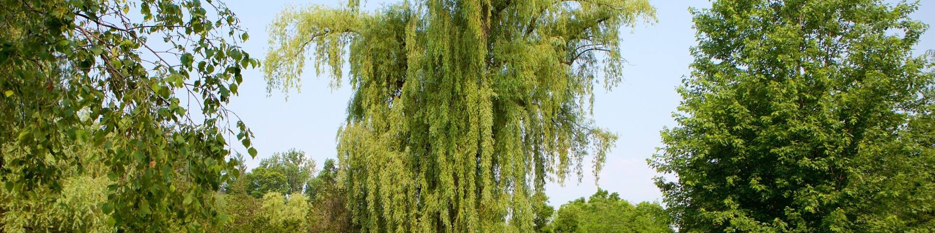 Don Mills which includes a garden