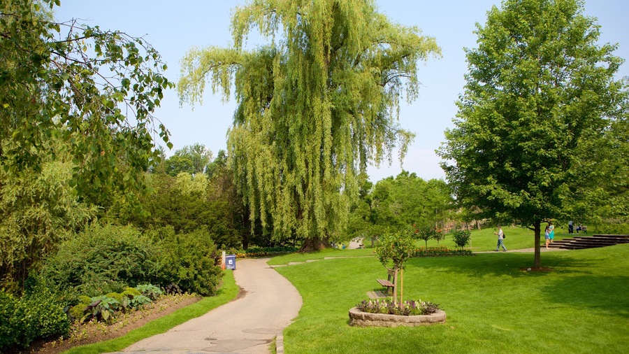 Don Mills showing a garden