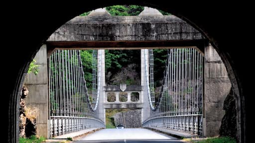 This massive bridge is in the middle of nowhere (so I thought I'd be okay to take a picture from the middle of the road, but then of course a car came along!).