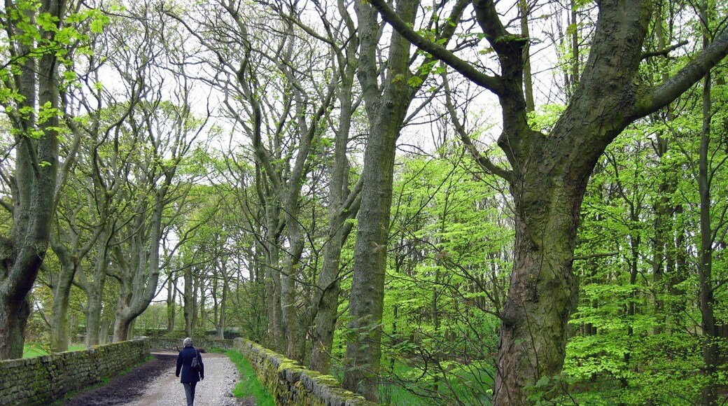 St Ives Estate, near Bingley, West Yorkshire