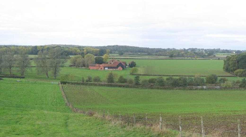 Chasemore Farm and the fish pond. The willows on the left follow a pleasant stream that has been widened into the fish pond on the right. Chasemoor Farm buildings are in the centre.