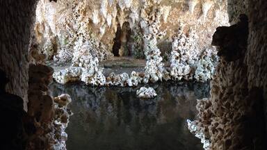 A cave with stalactites and stalagmites, a water pool, and a stone wall.