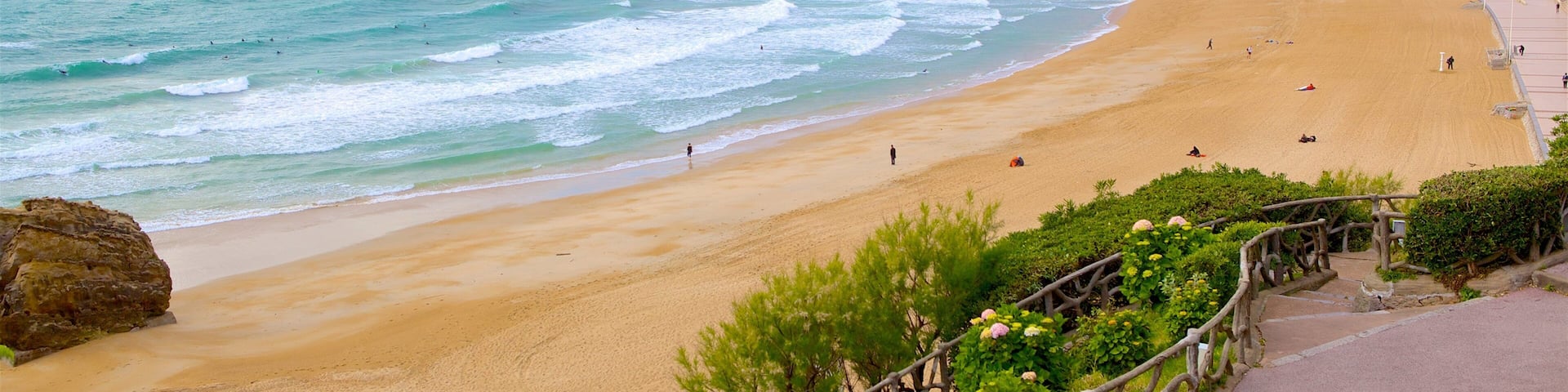 Aquitaine featuring a sandy beach and general coastal views