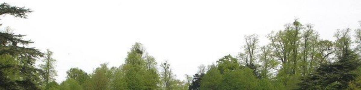 Claremont Landscaped Garden. The turf amphitheatre is the centrepiece of this, one of the first and finest gardens of the English landscape style. The gardens were begun by Sir Jon Vanbrugh and Charles Bridgeman before 1720, before being extended by William Kent. Capability Brown also made improvements. Today the gardens are a National Trust property.