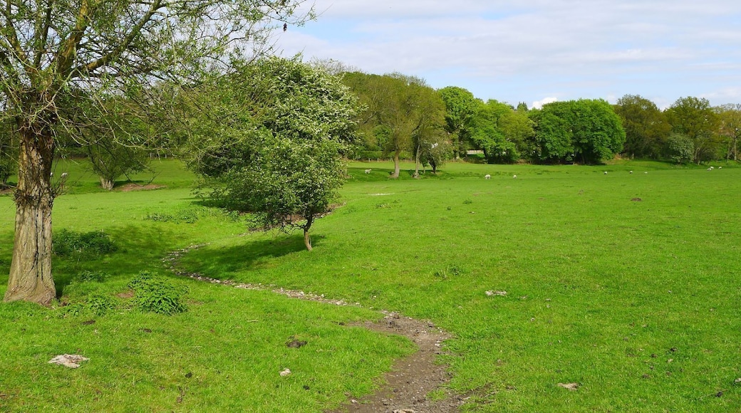 A dried up River Misbourne between Chalfont St Giles and Chalfont St Peter, Bucks, UK