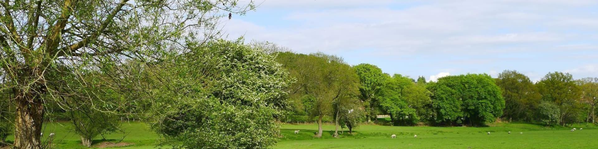 A dried up River Misbourne between Chalfont St Giles and Chalfont St Peter, Bucks, UK