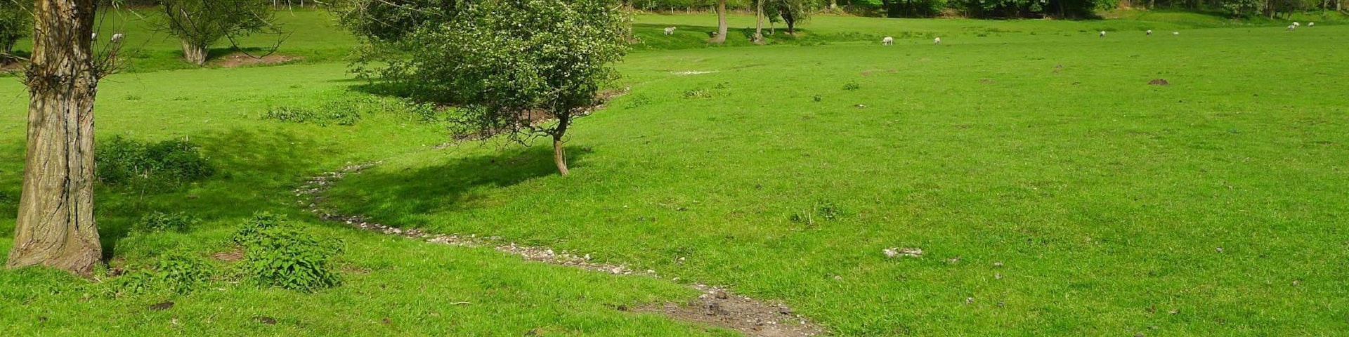 A dried up River Misbourne between Chalfont St Giles and Chalfont St Peter, Bucks, UK