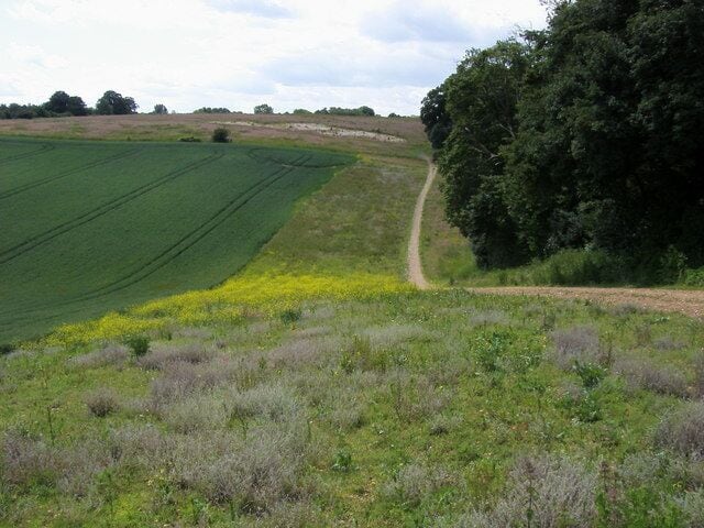 Footpath heading to Bloom Wood Footpath heading to Bloom Wood and onto Chalfont St Peter