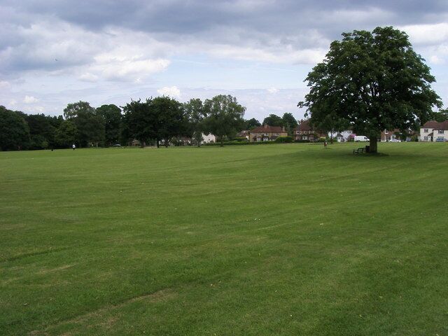 Goldhill Common From Goldhill West looking across Goldhill Common