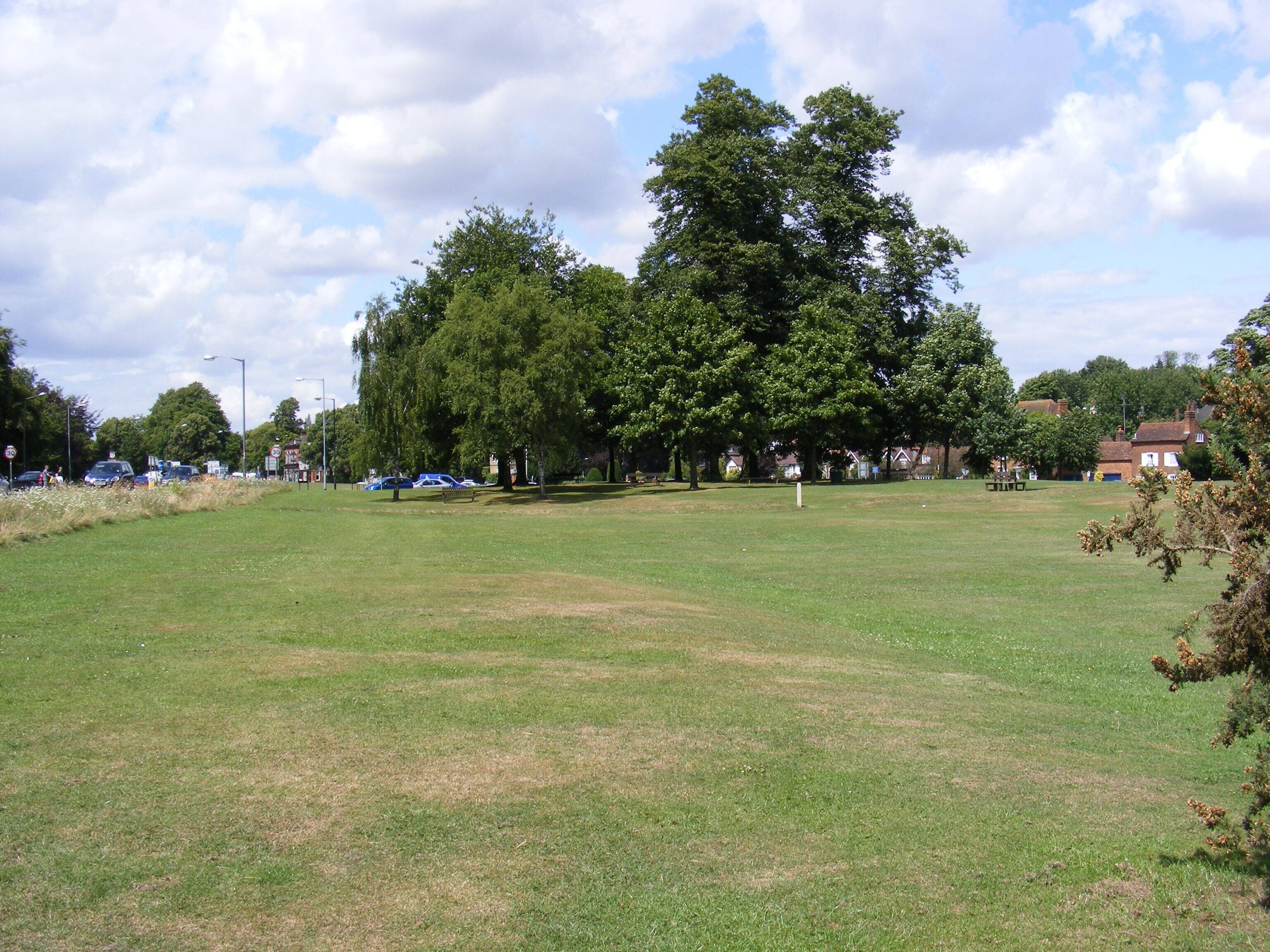 The Baa Lamb Trees on Harpenden Common