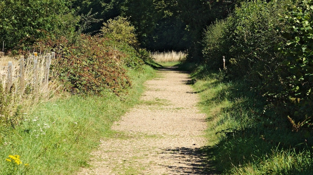 Public footpath through Rothamsted.