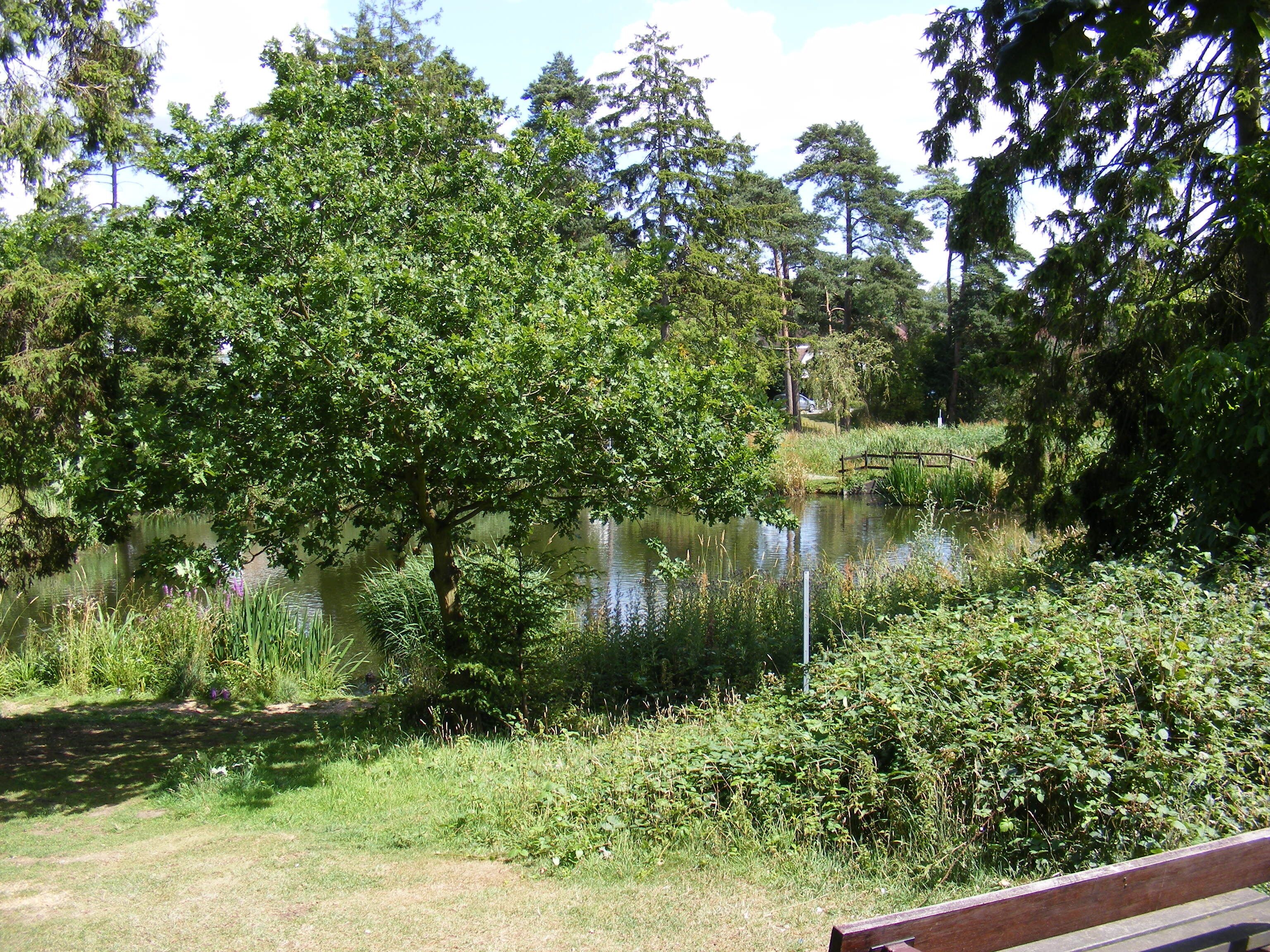 Southdown Ponds on Harpenden Common These were created in 1928 to take water run off the nearby roads